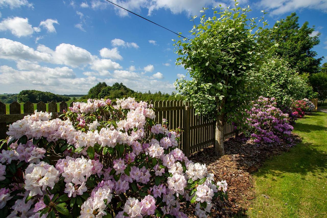 Home Farm B&B - Sunflower Room Forfar Extérieur photo